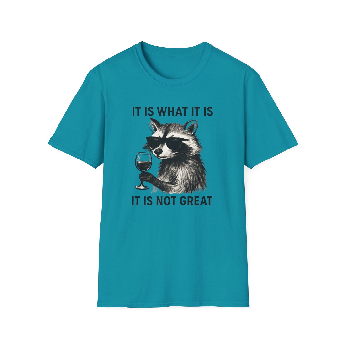 It Is What It Is- Chronic Illness and Life Humor Shirt