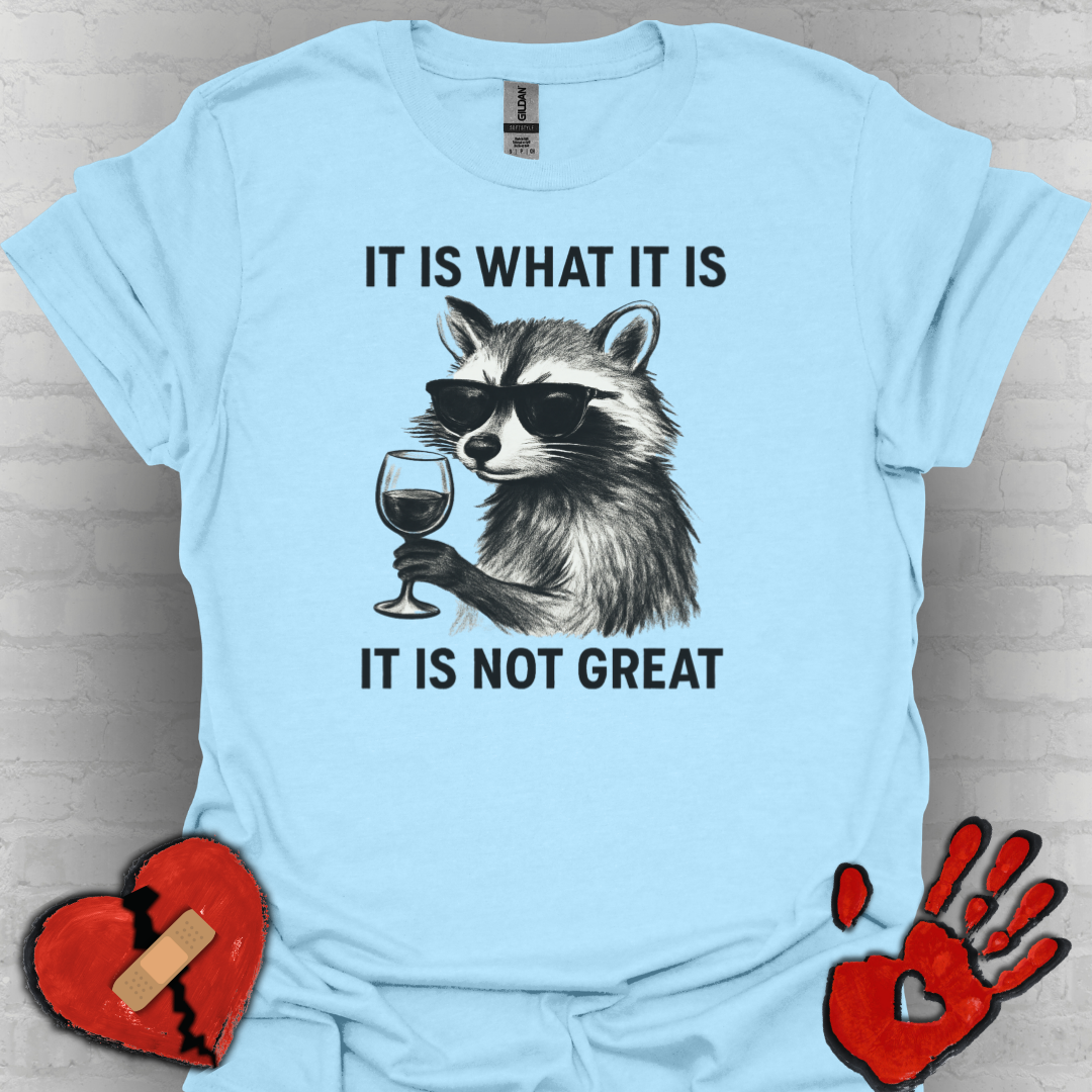 It Is What It Is- Chronic Illness and Life Humor Shirt