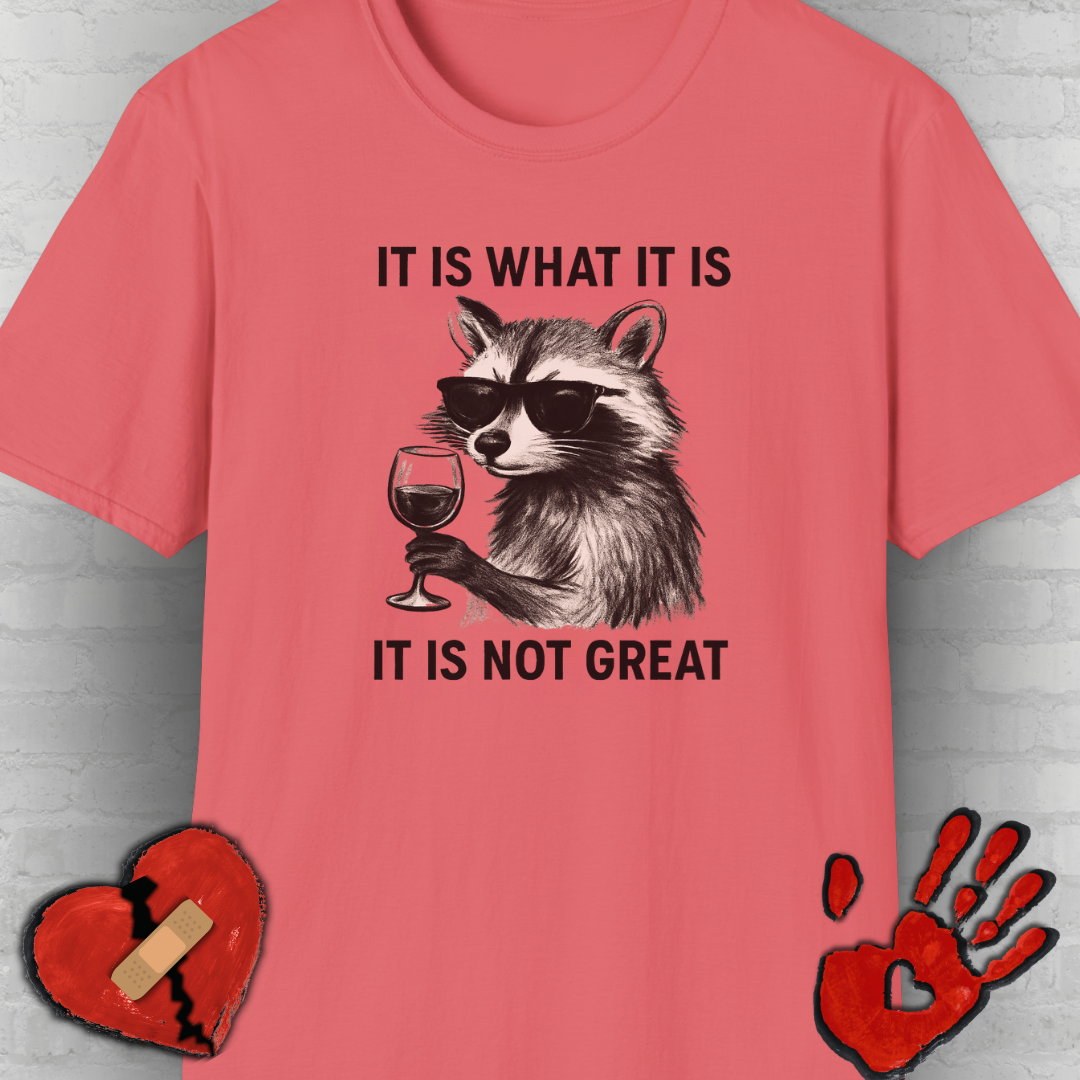 It Is What It Is- Chronic Illness and Life Humor Shirt