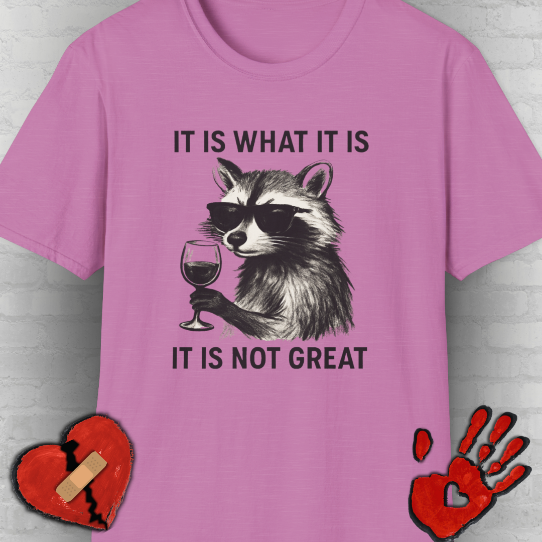 It Is What It Is- Chronic Illness and Life Humor Shirt