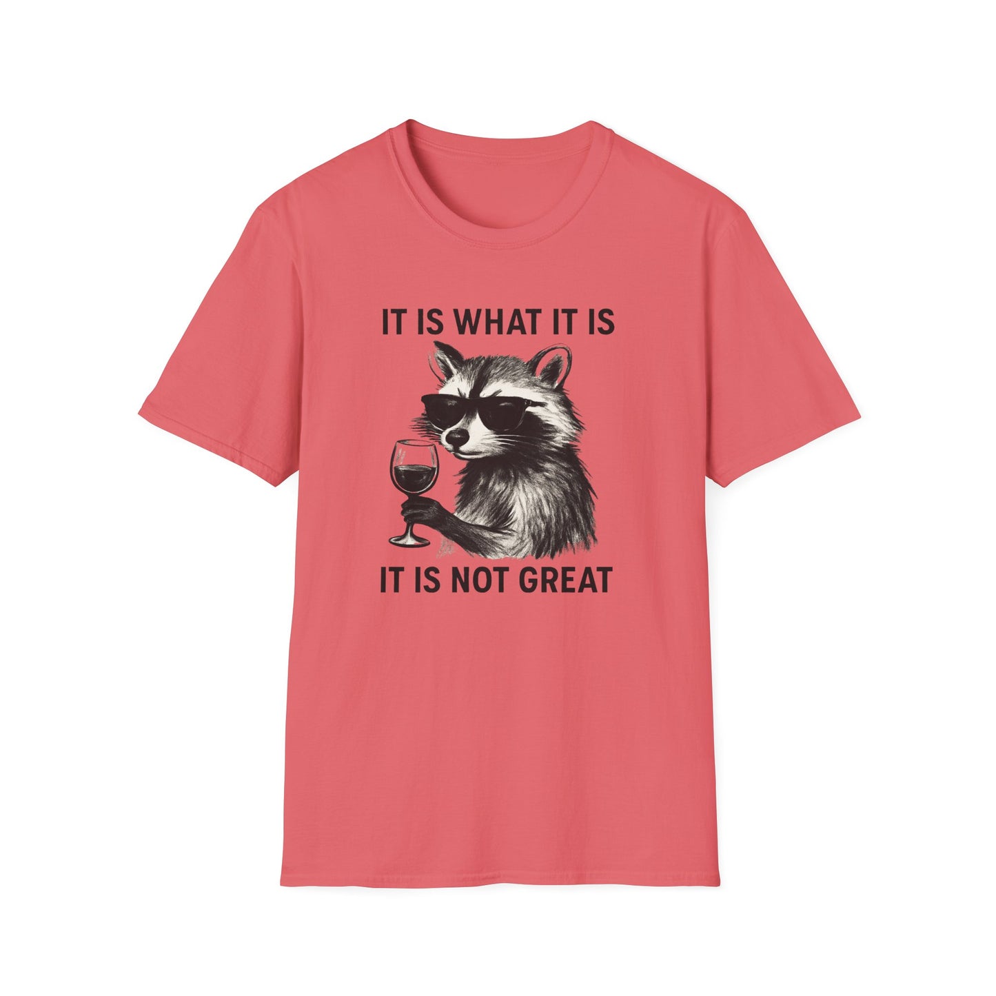 It Is What It Is- Chronic Illness and Life Humor Shirt