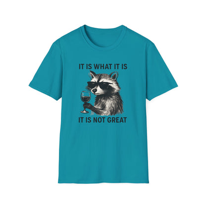 It Is What It Is- Chronic Illness and Life Humor Shirt