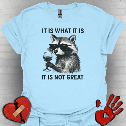 It Is What It Is- Chronic Illness and Life Humor Shirt