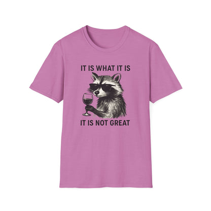 It Is What It Is- Chronic Illness and Life Humor Shirt