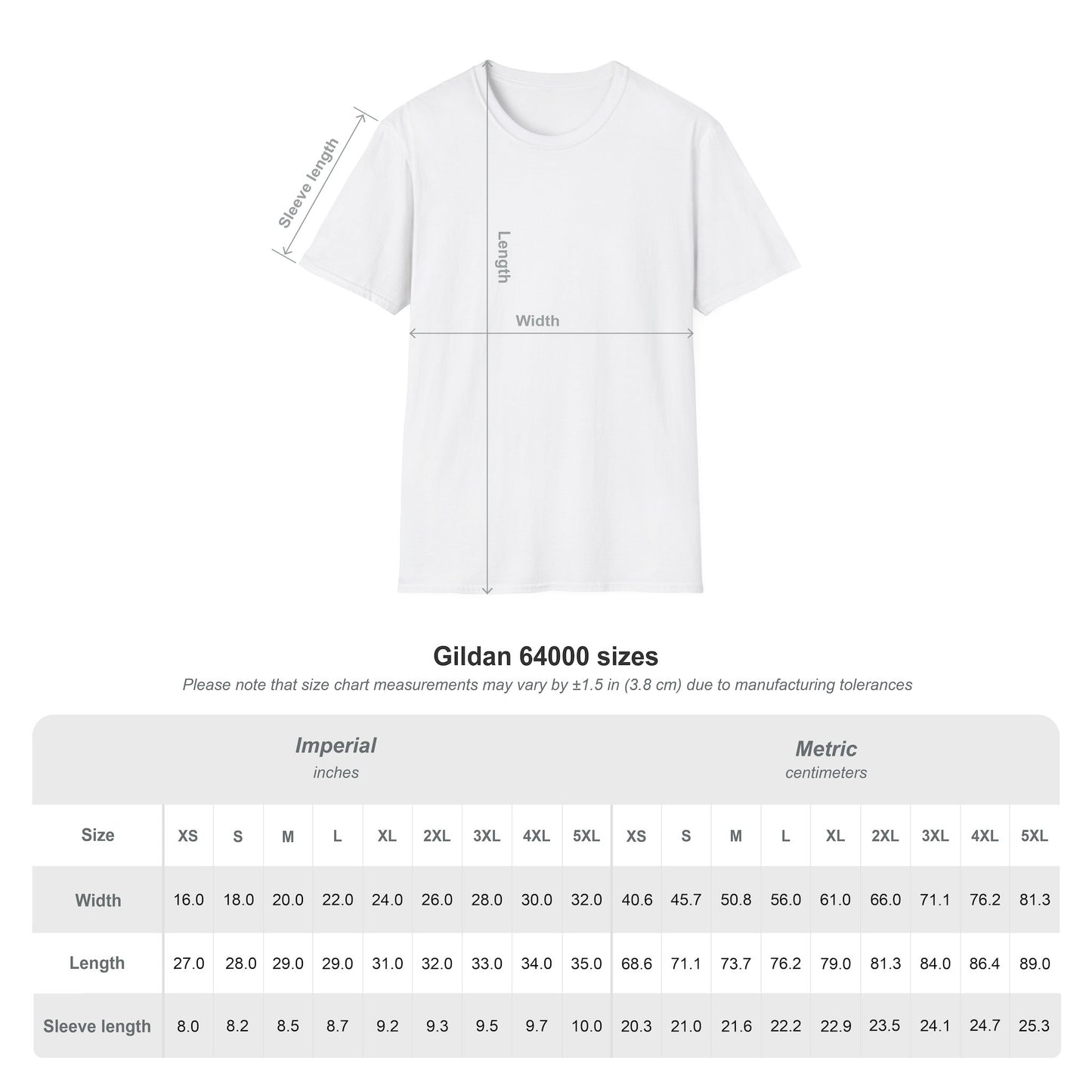 I Tried My Best- Snail Speed Chronic Illness Shirt